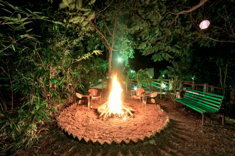 Tadoba 5 Star Hotel/Resort